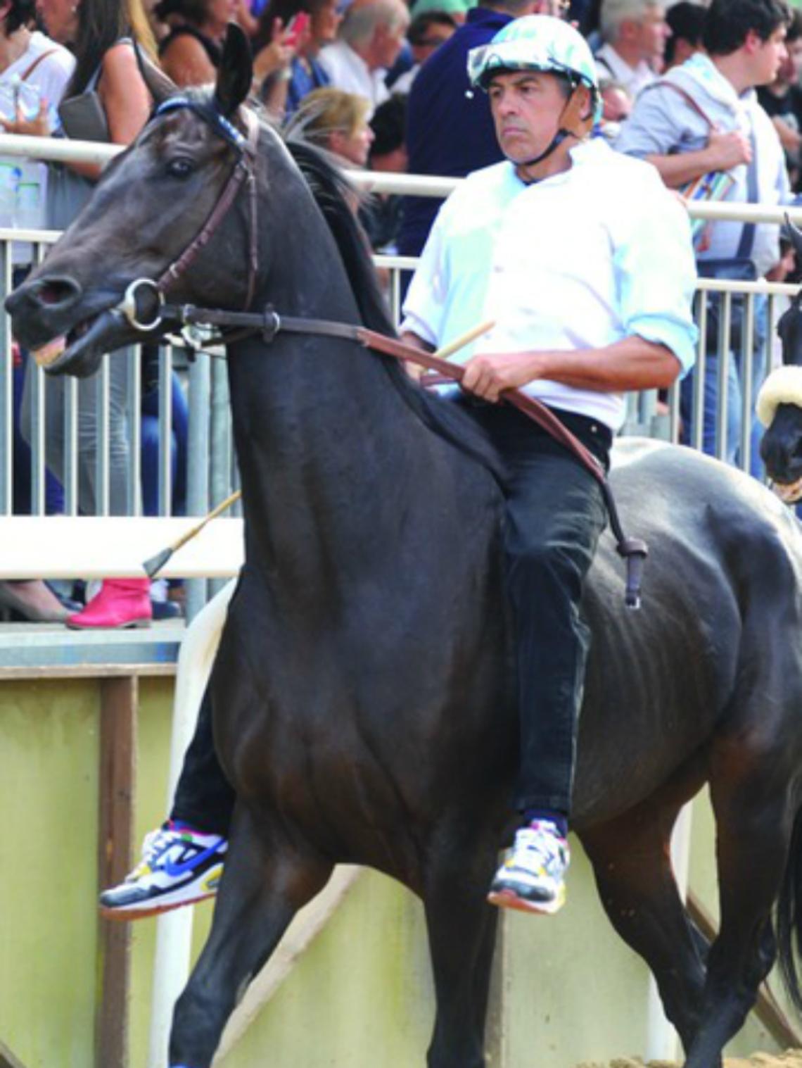 Palio, parla Brancato: &laquo;Neppure<br/>le scuse da Baldichieri&raquo;