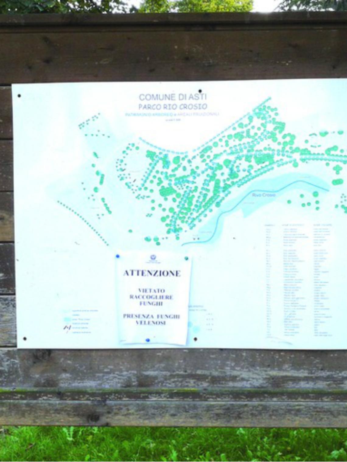 Attenti ai funghi, gli avvisi del Comune