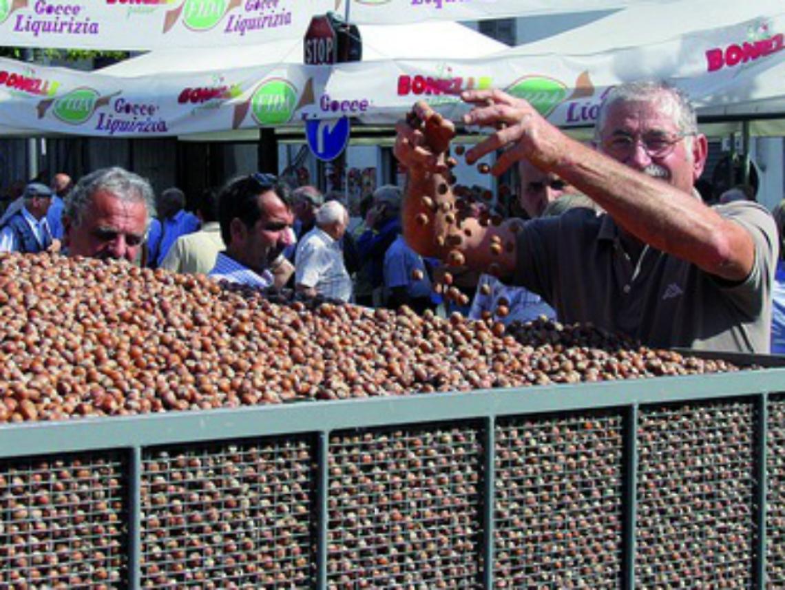 Cresce la produzione di nocciole,<br/>prezzo a 500 euro il quintale