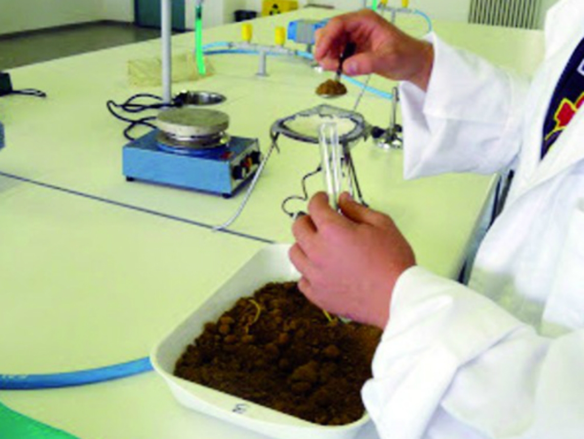 Ist. "Penna": trattata la vigna da estirpare, prosegue la lotta alla flavescenza