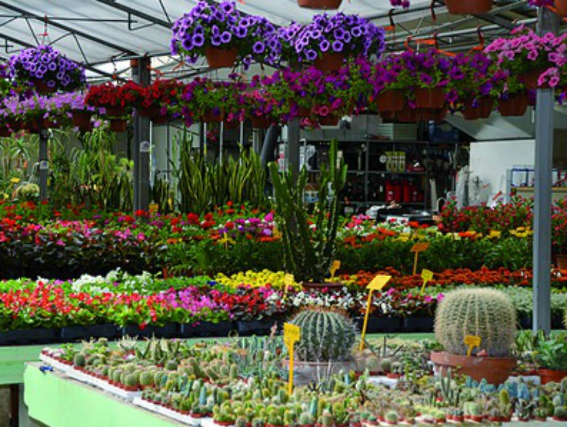 Nel sud Astigiano<br/>dai peperoni al fiore