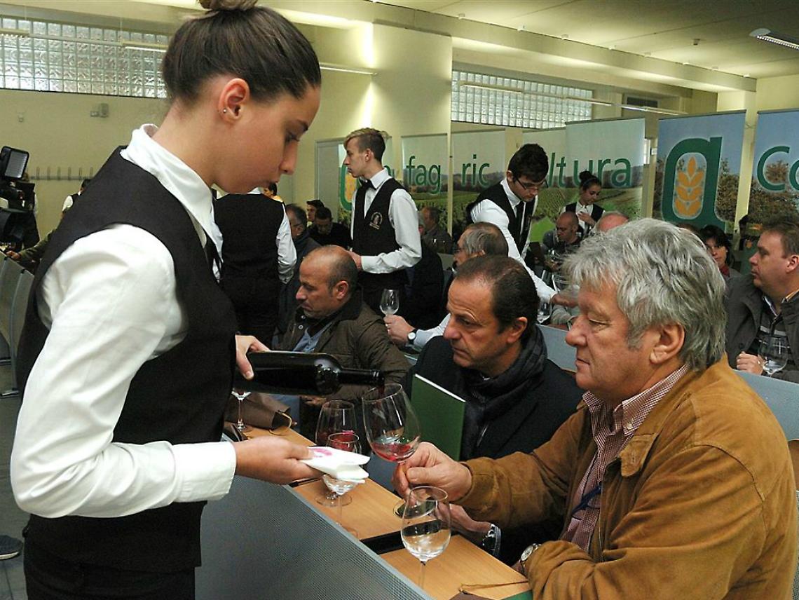 Tre stelle su cinque alla vendemmia 2014<br/>Ma i redditi sono troppo bassi