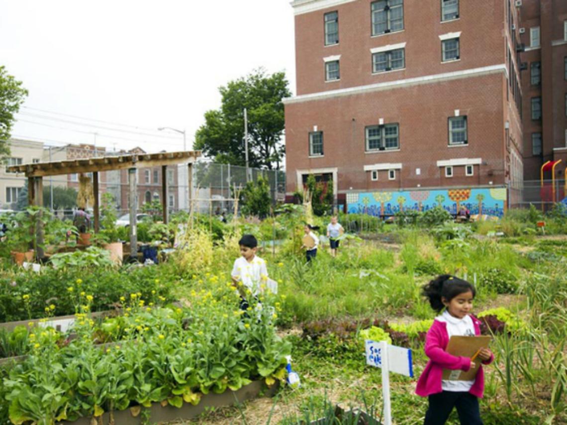<B>Agopunture "verdi" per migliorare la qualit&agrave; della vita urbana</B>