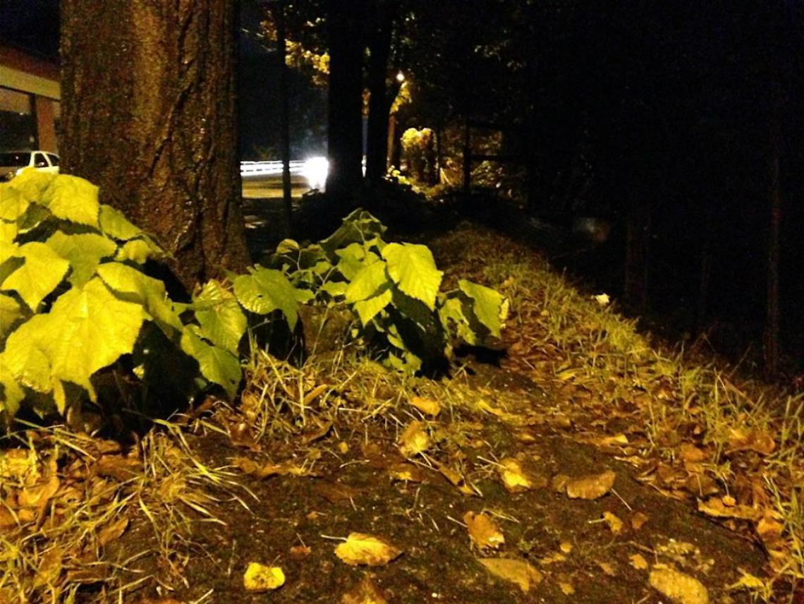 In c.so Venezia marciapiede disfatto<br/>Le segnalazioni dei lettori