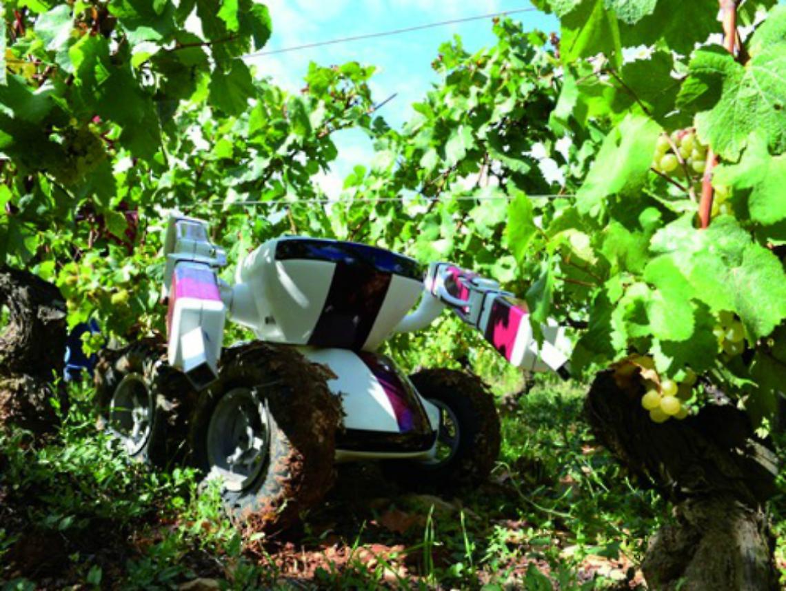 "Wine-robot" al posto dei sommelier?