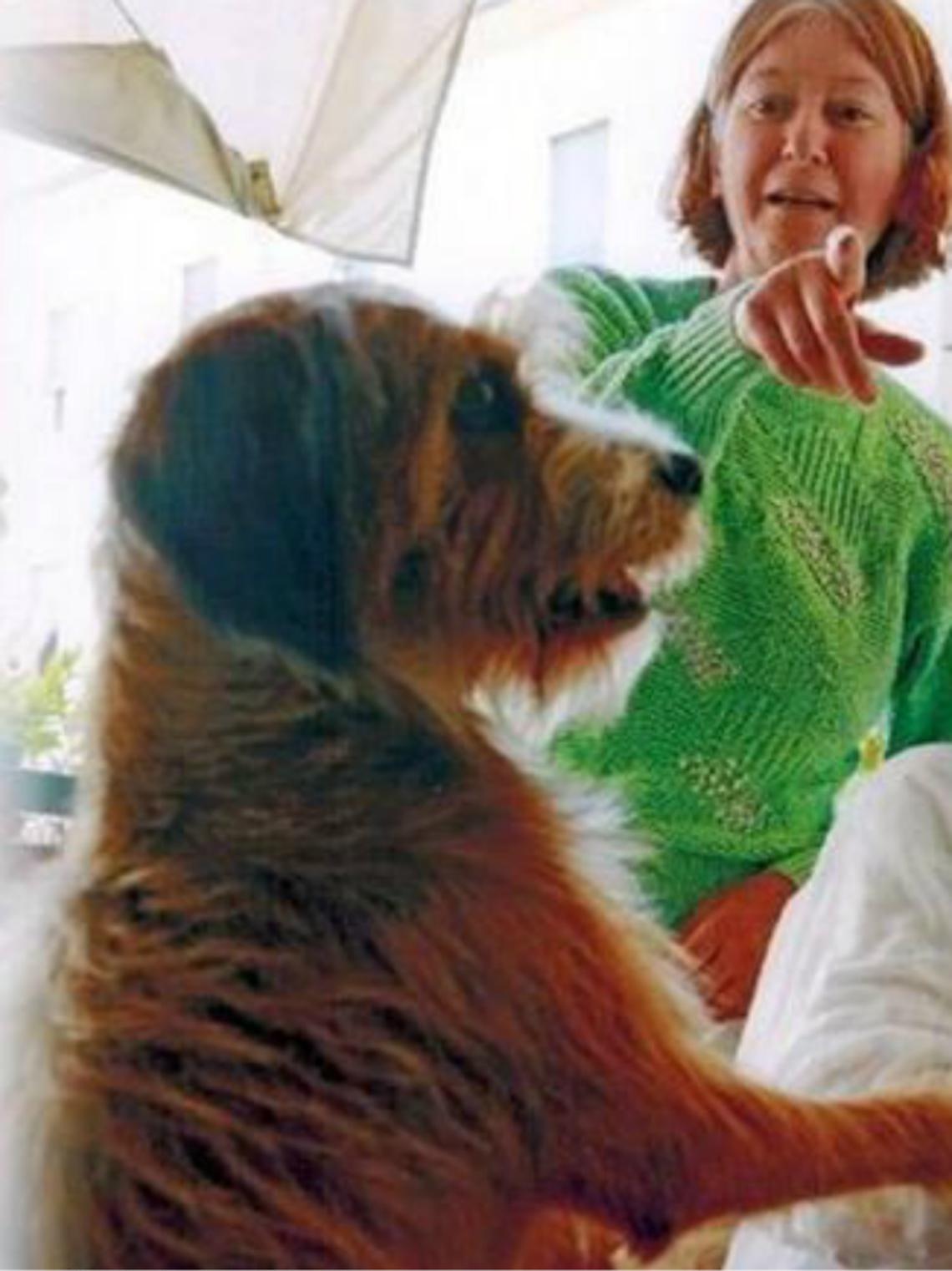 &laquo;Sono malata, chi mi aiuta con il mio cane?&raquo;