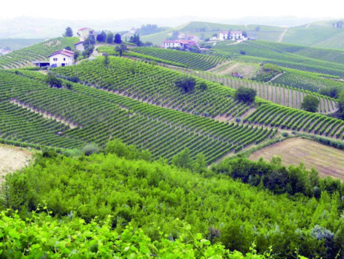 Dalla Regione una legge per la tutela<br/>del suolo e del paesaggio