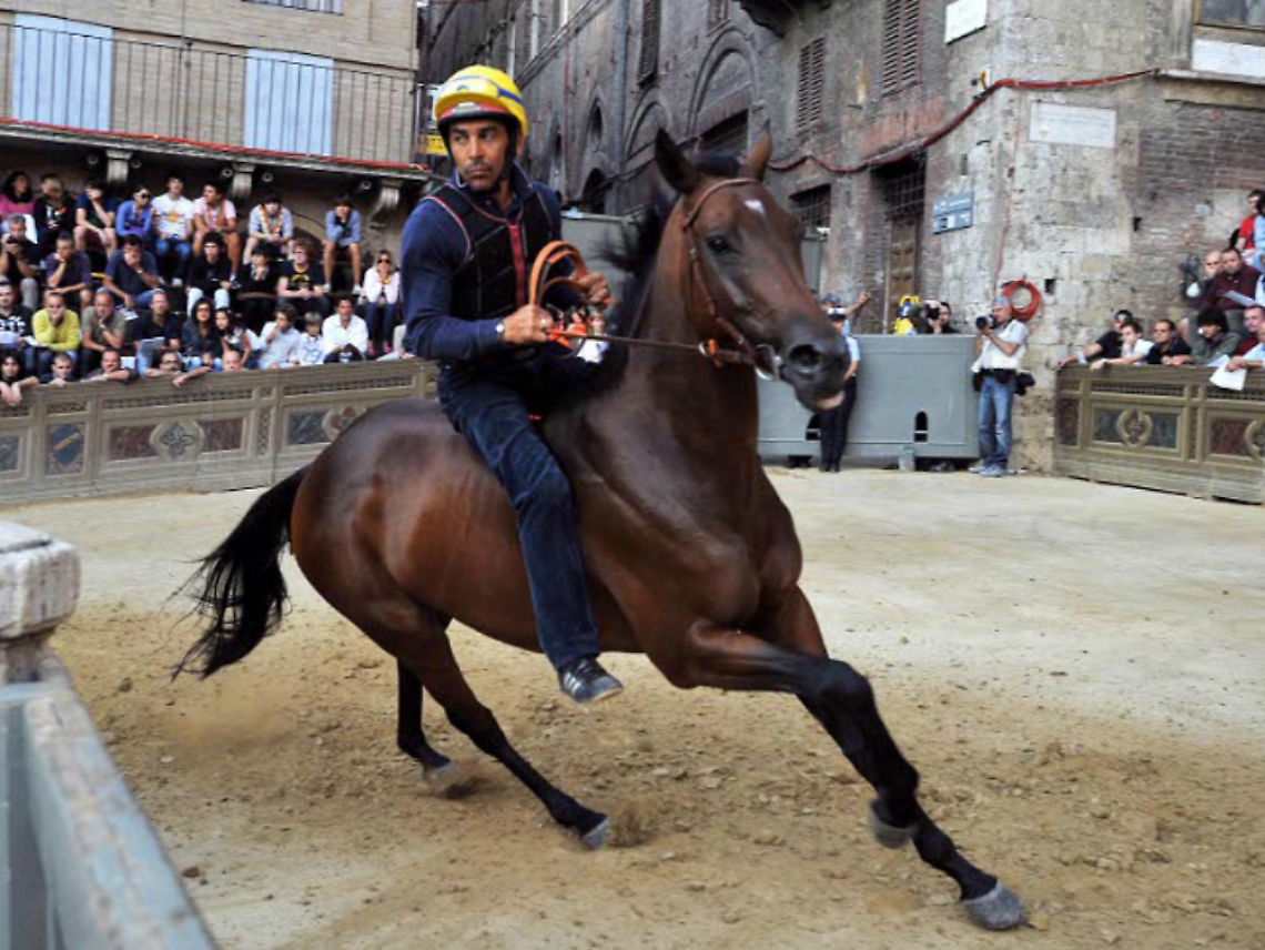 Palio, parla Massimo Coghe:<br/>&laquo;La Torretta mi ha spronato a ringiovanire&raquo;