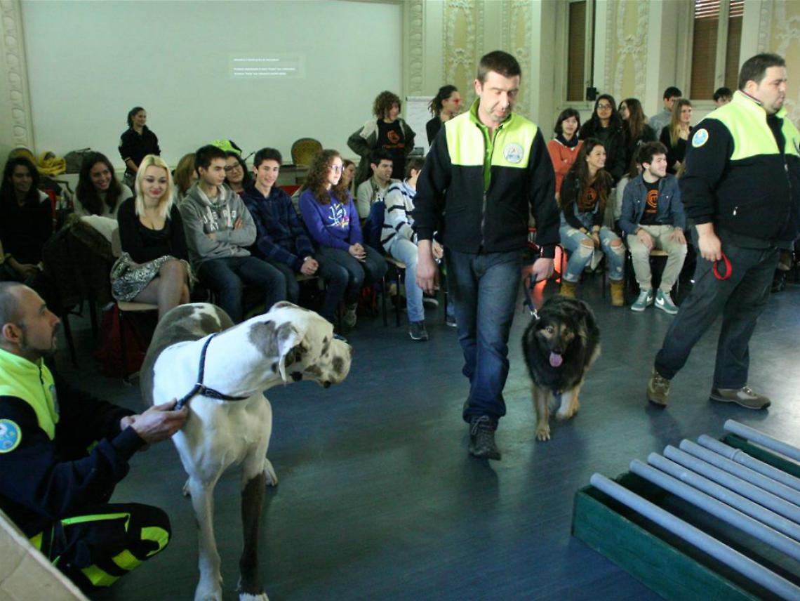 Al Classico sipario sulla cogestione<br/>tra laboratori e conferenze