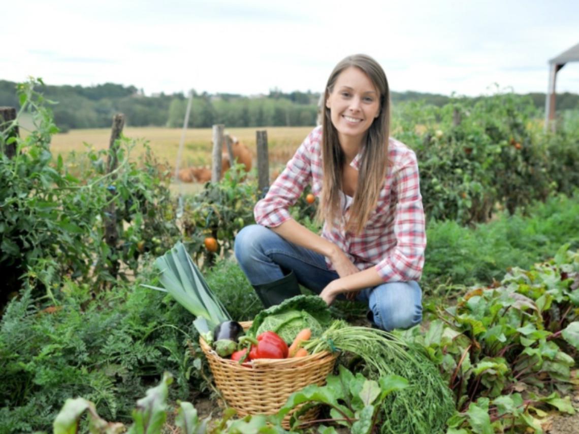 Il ritorno dei giovani verso l'impresa agricola