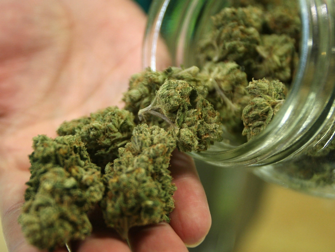 Teneva la marijuana nel suo congelatore, sequestrati 9 kg a Serole