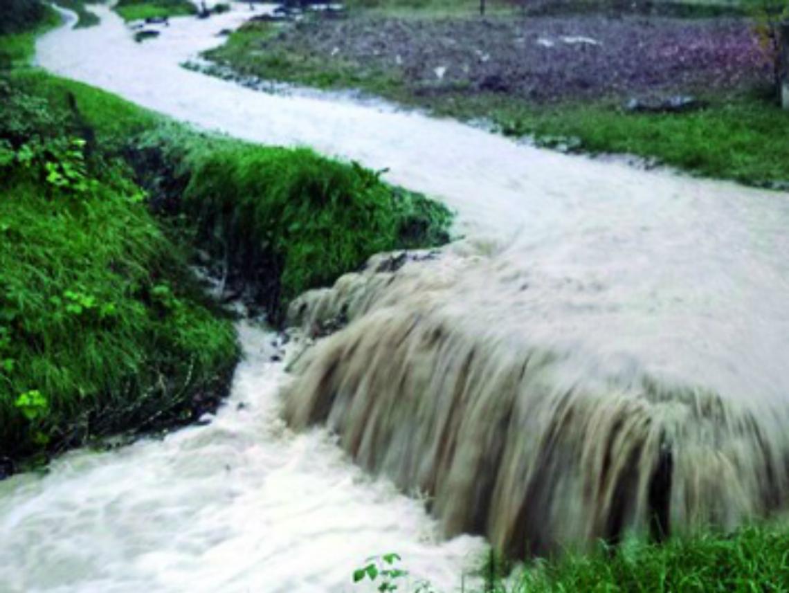 La parola all'Ordine degli Agronomi e dottori Forestali della Provincia
