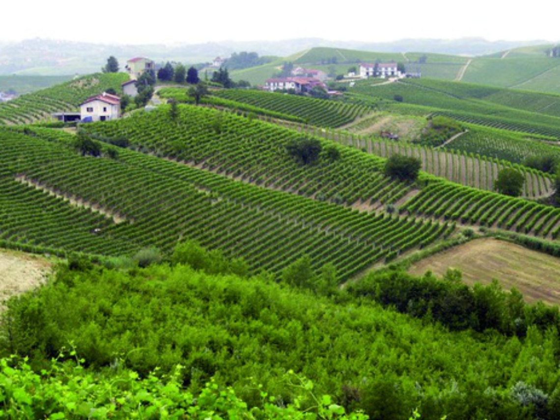 Asti e Alba si fondono<br/>nella super ATL Unesco