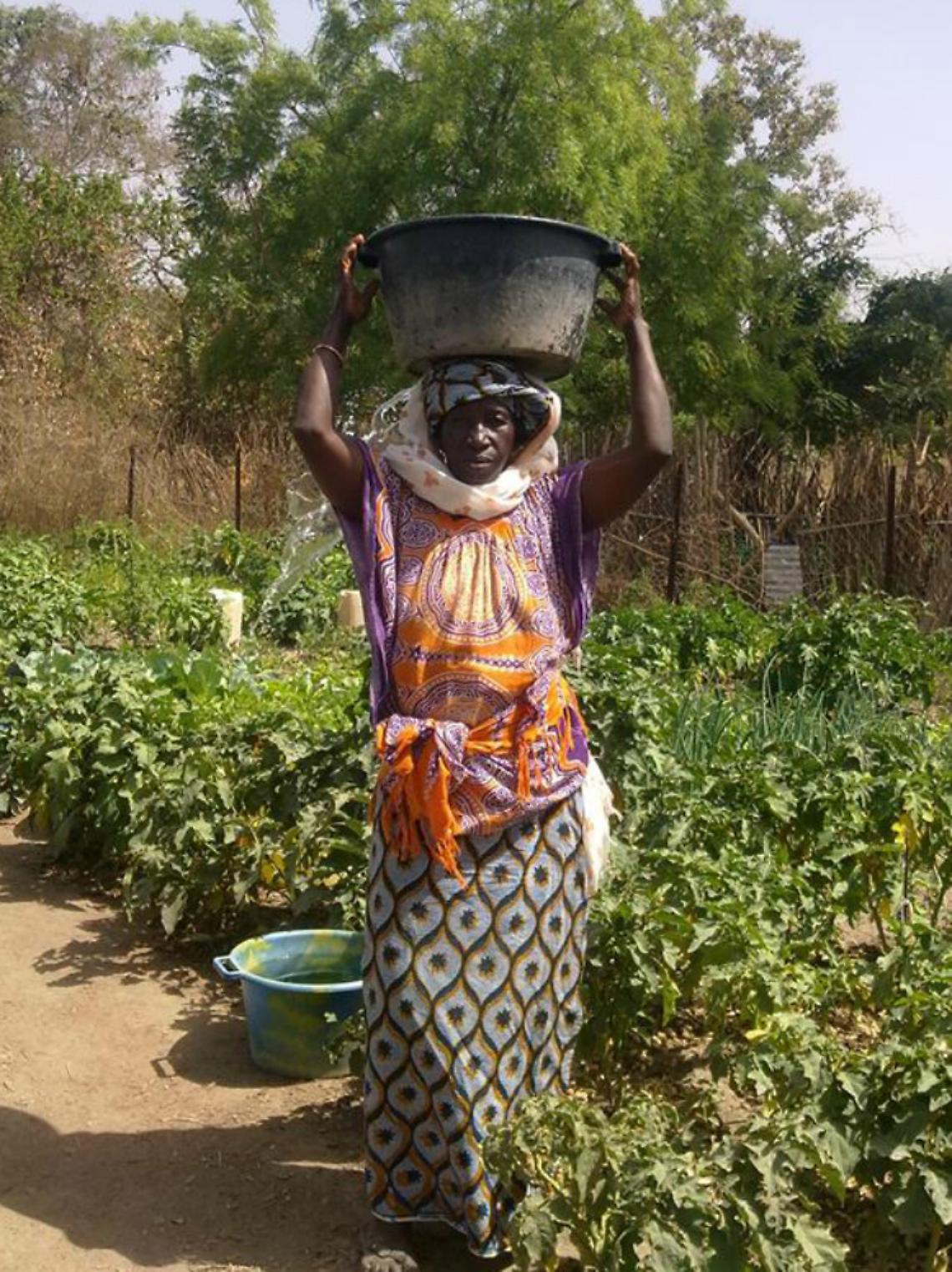 Finanziatori cercansi per coprire le spese