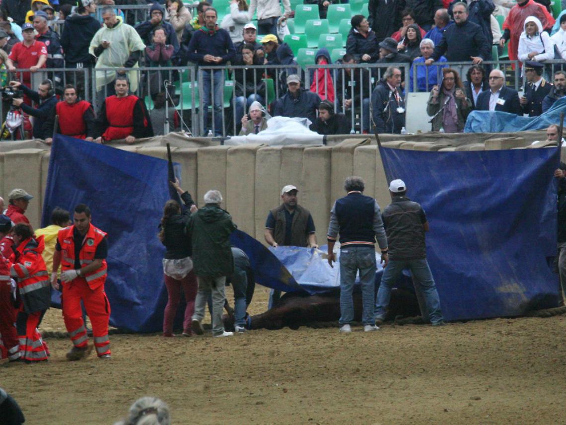 Bircolotti sulla morte di Mamuthones:<br/>&laquo;Quella forzatura fu irresponsabile&raquo;
