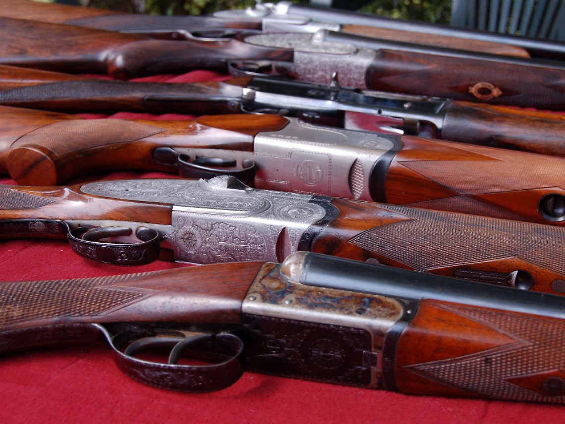 Ritrovate armi rubate ripulendo una siepe