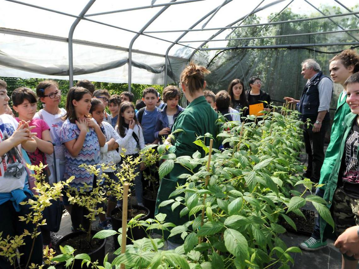PENNA - Maturit&agrave;, all'Agrario un 100 in rosa