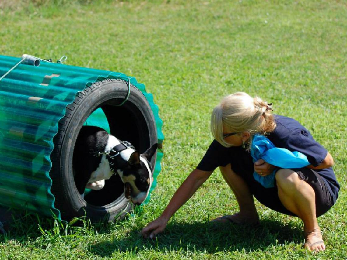 "Mobility dog" al Lungo<br/>Tanaro e al Bramante