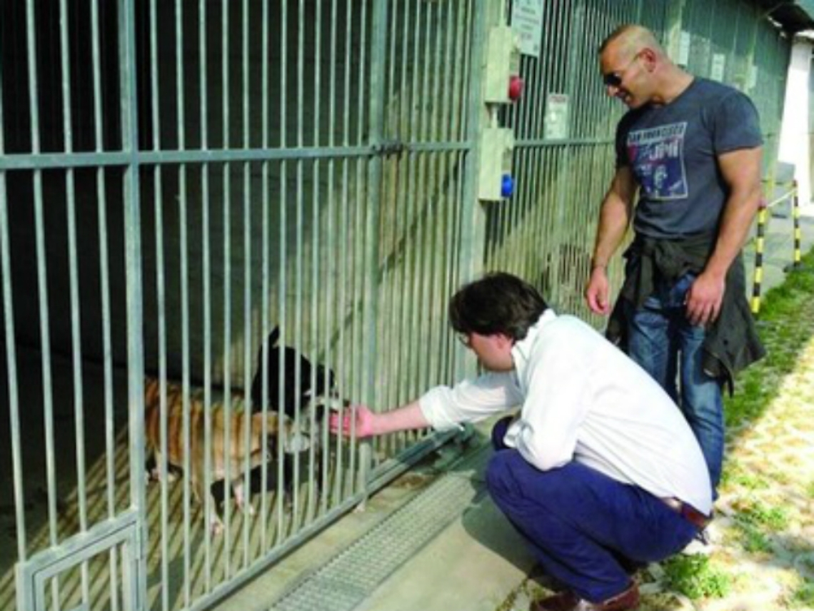 Tanta partecipazione al "Canile aperto"