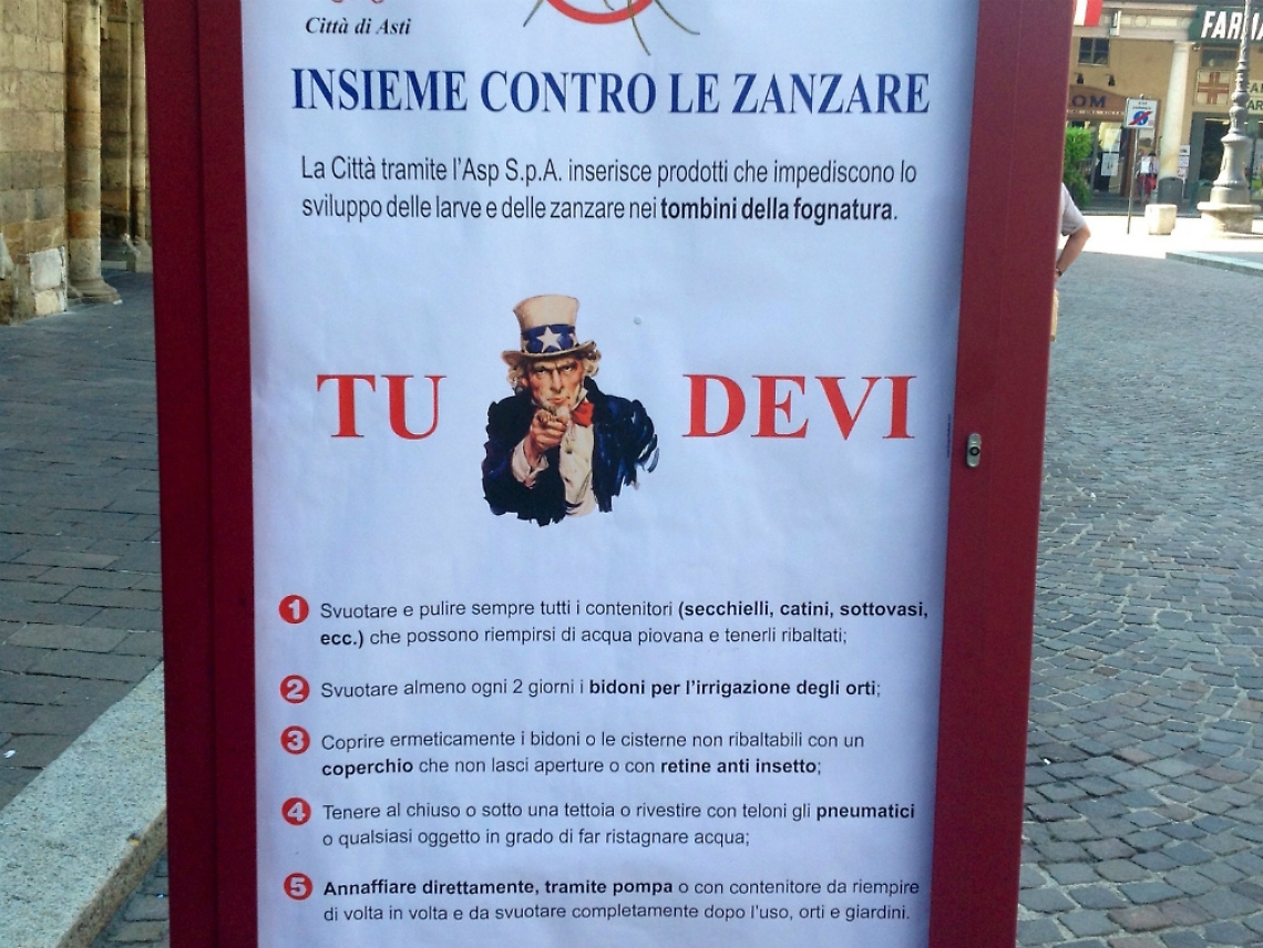 Pillole contro le larve di zanzara<br/>Le regole per arginare l'invasione