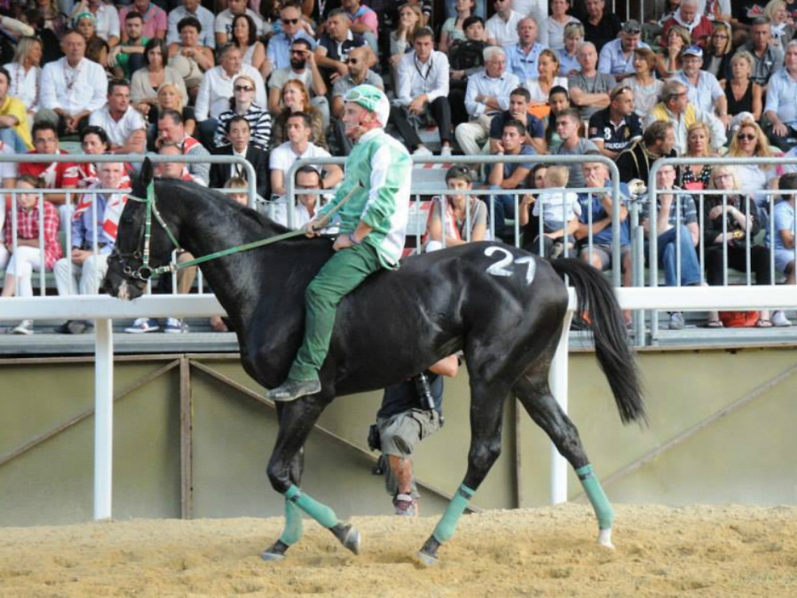 Addio a L'Inglese, il purosangue<br/>fuoriclasse con il cuore sulla fronte