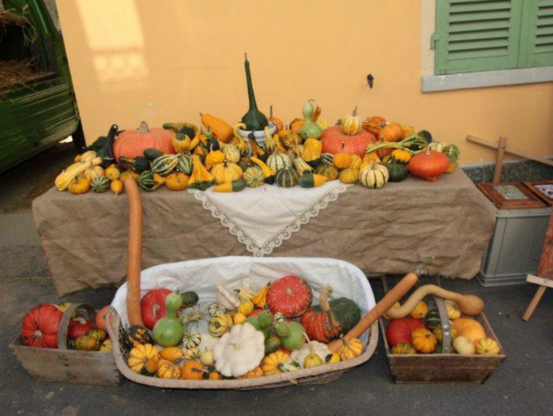 La zucca fa festa a Piea<br/>e la De.Co. diventa un business