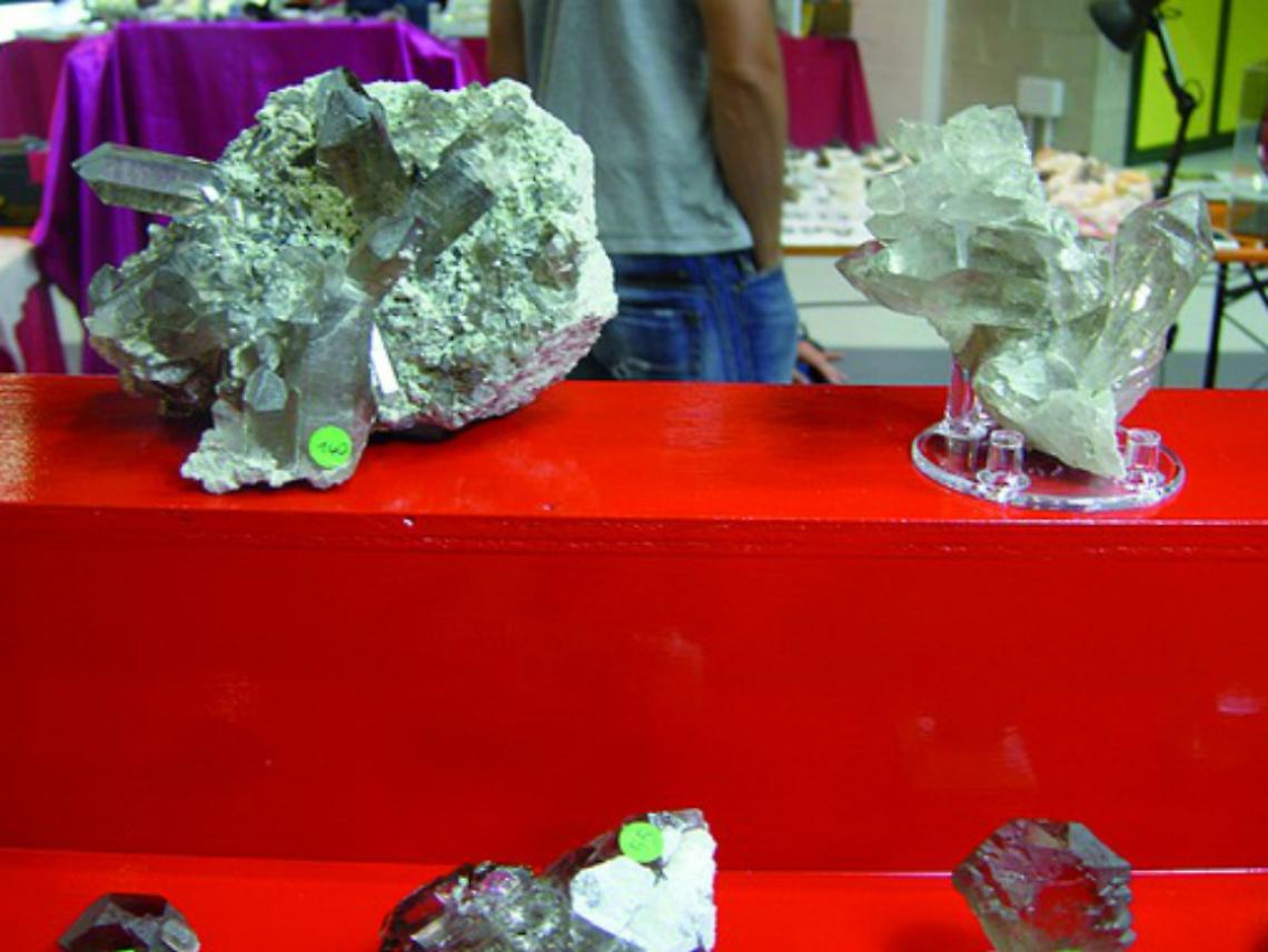 Euromineralexpo: 200 espositori<br/>per raccontare fossili e conchiglie