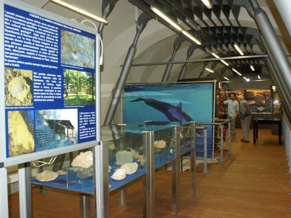 Nel tempio delle balene fossili<br/>si parla di vini astigiani