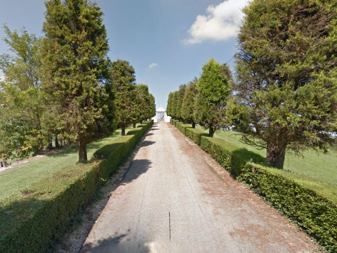 Penango, dietro front del sindaco<br/>sui cipressi da tagliare