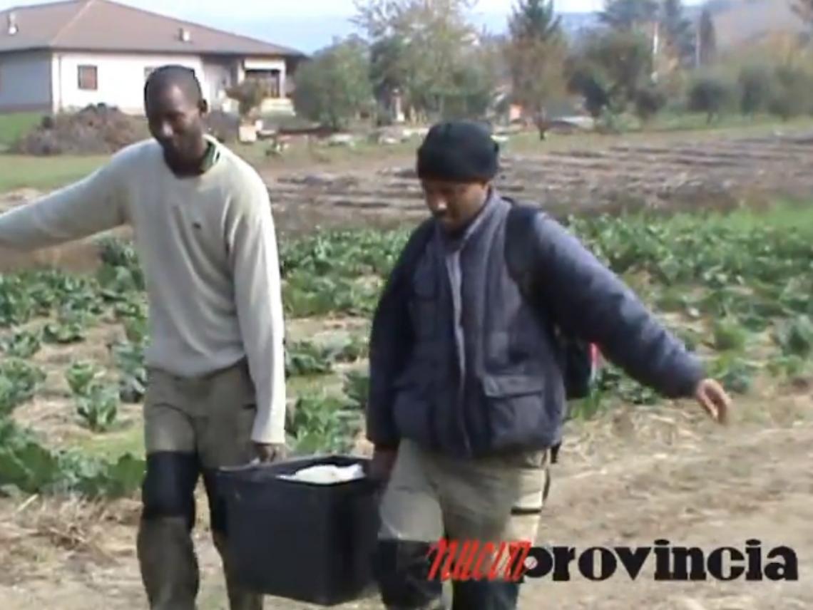 VIDEO: Maramao, l'azienda dei profughi contadini