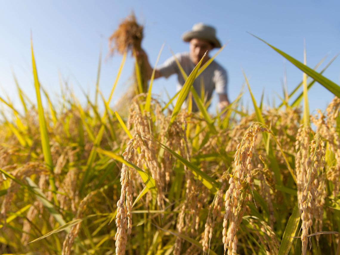 Agricoltura, adesso serve<br/>saper vendere bene