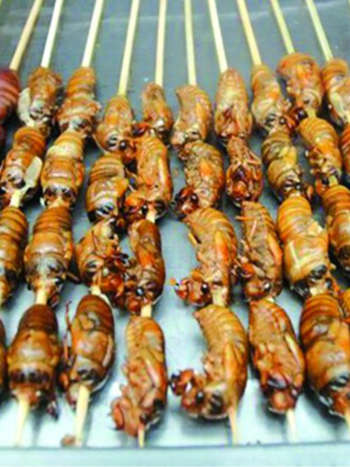 Insetti e ragni sulle nostre tavole<br/>Dieta mediterranea: quale futuro?