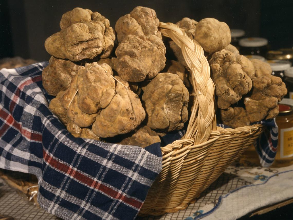 Profumi e sapori, tra le vie<br/>del centro di Asti il tartufo &egrave; il re