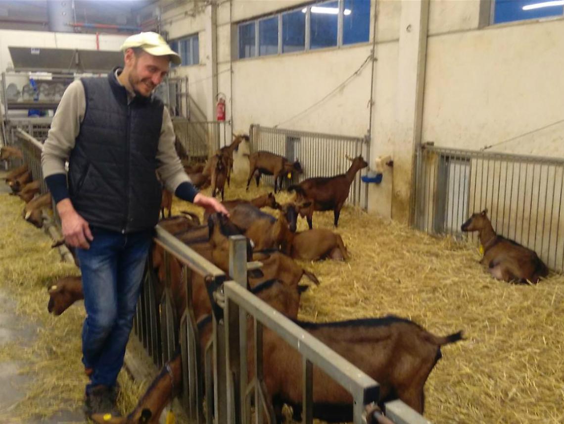 Allevatore astigiano relatore a Mantova<br/>&laquo;I benefici dell'inseminazione artificiale&raquo;