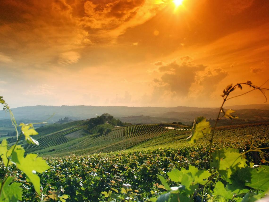 Ethica: la bellezza come<br/>vero modello didattico