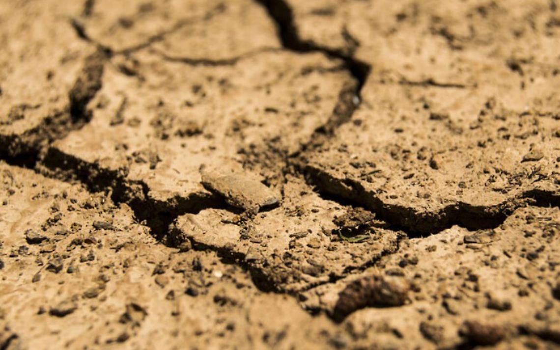 Siccit&agrave;, Confagricoltura: &laquo;Occorre<br/>riflessione su politiche ambientali&raquo;