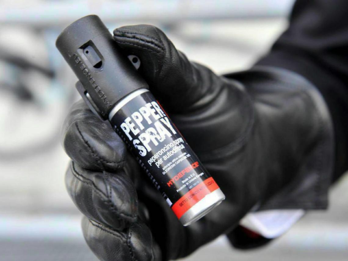 Spray urticante contro la vittima<br/>Cos&igrave; fuggono dopo il furto in casa
