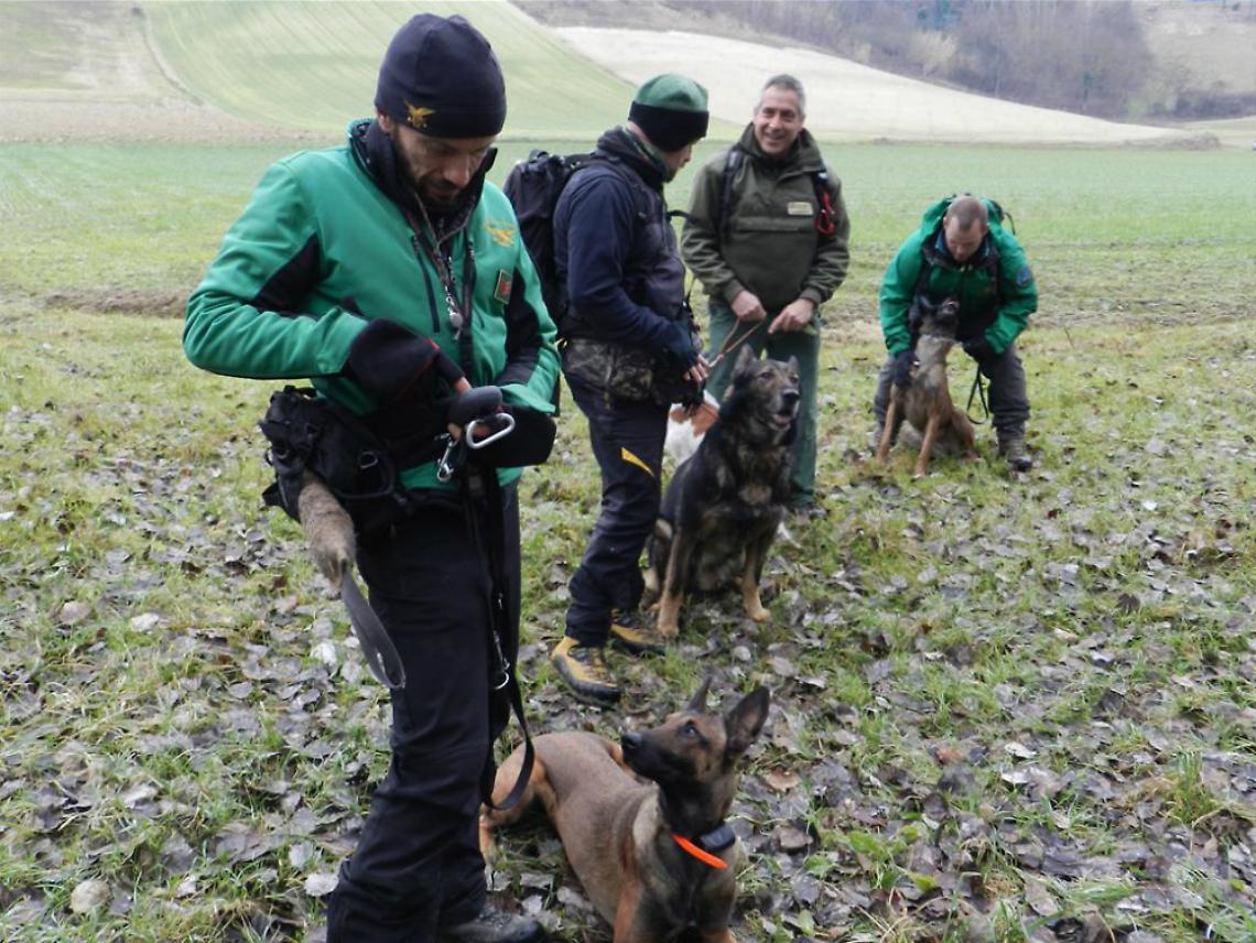 Bocconi avvelenati tra Celle<br/>e Revigliasco, controlli della Forestale