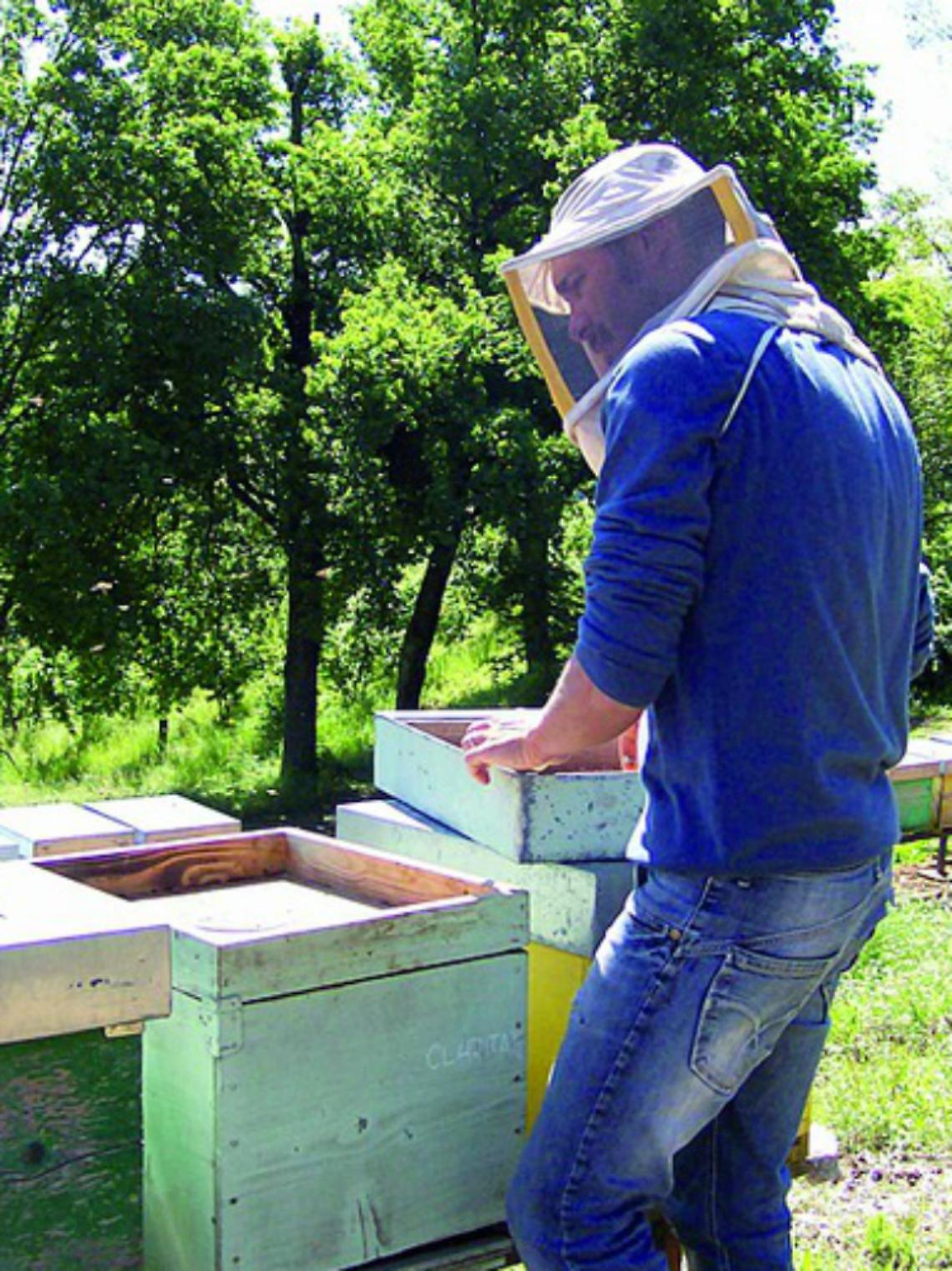 Dal set ai campi<br/>Storia di un agro-attore