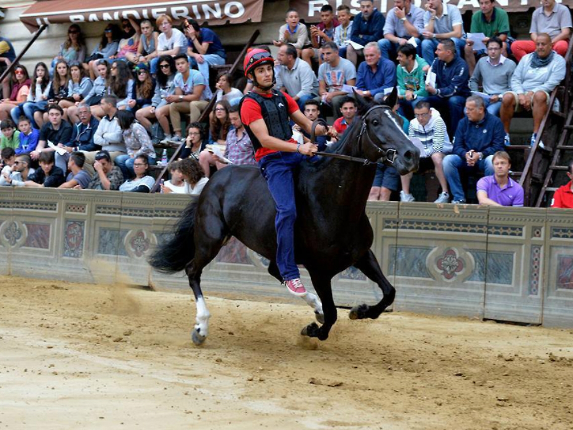 Palio, sar&agrave; Arri a correre per Moncalvo<br/>&laquo;Una chiamata che mi gratifica&raquo;