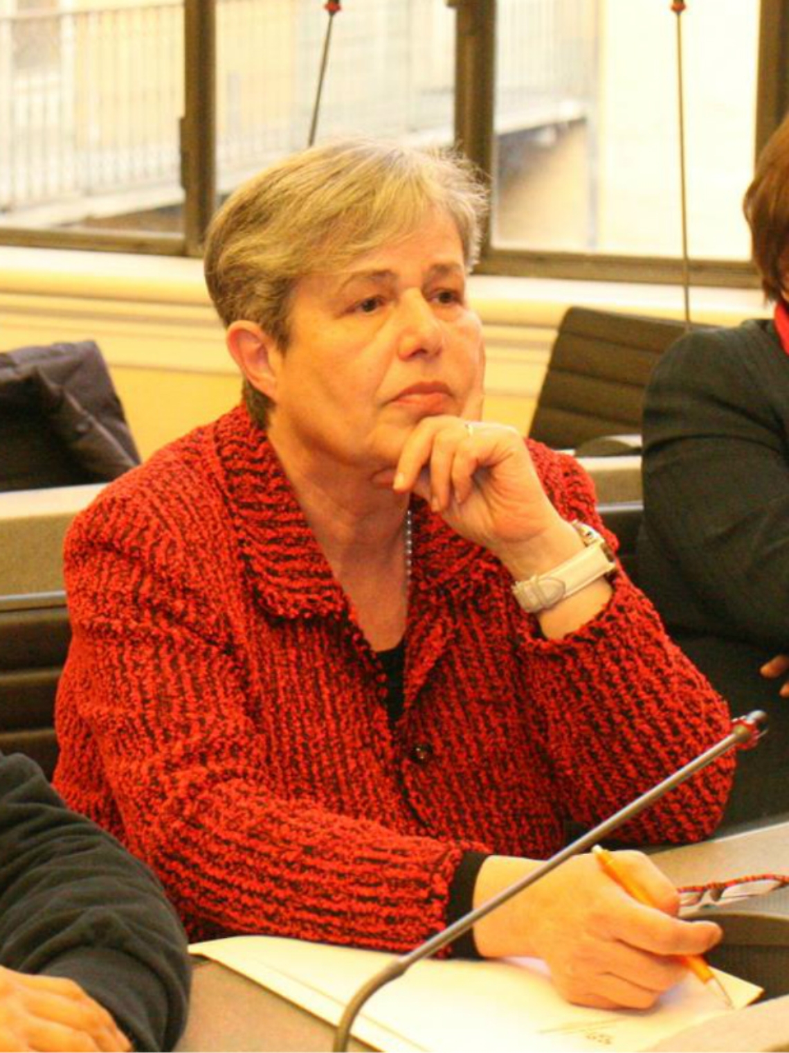 Quaglia: &laquo;Rumori eccessivi<br/>dal centro islamico di via Balbo&raquo;