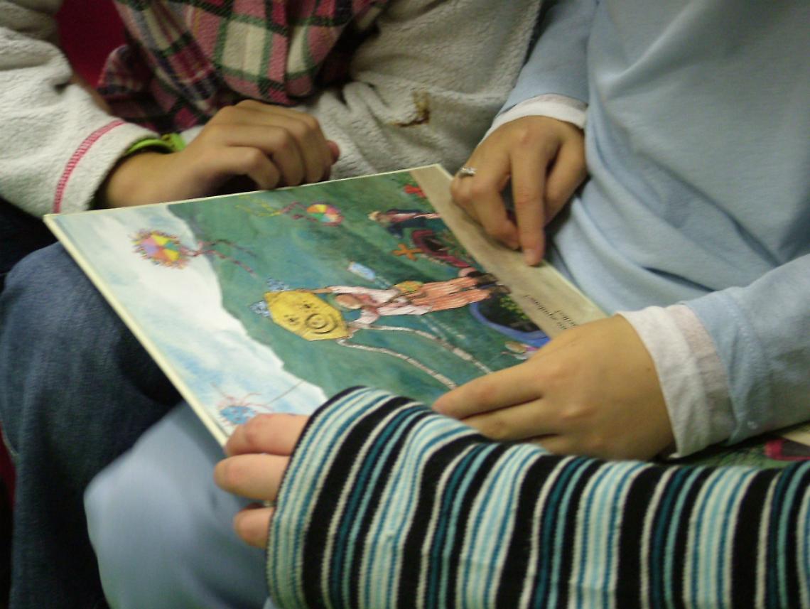 Schede libro dalla biblioteca della scuola