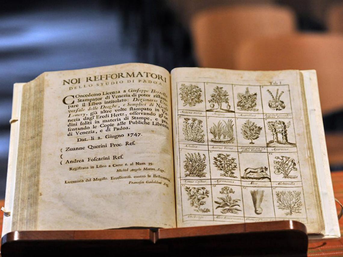 Una cura di giovinezza<br/>per le erbe officinali di Lemery