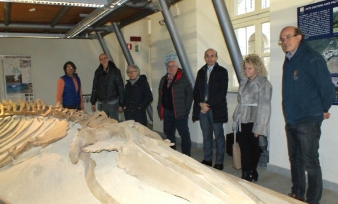 Un concerto tra i fossili per Astimusica 2016