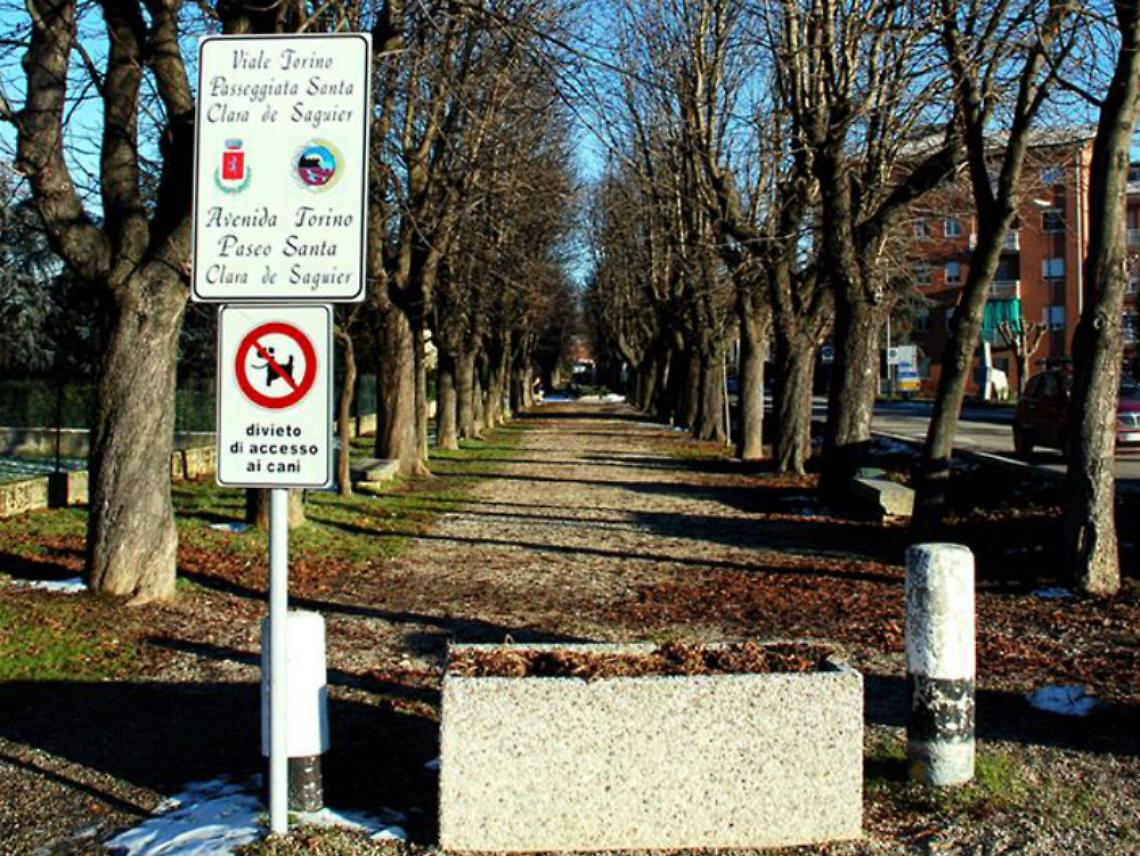 A Villanova interventi di potatura<br/>per il bene del verde pubblico