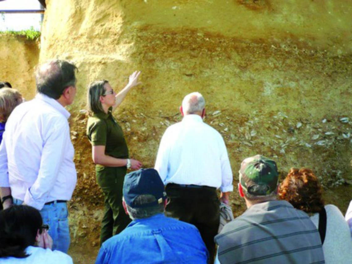 Distretto paleontologico,<br/>gi&agrave; 23 comuni coinvolti