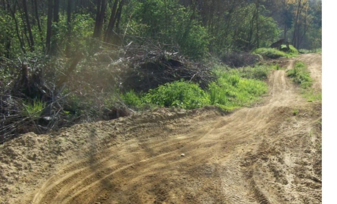 Motociclisti multati per il cross dentro al SIC