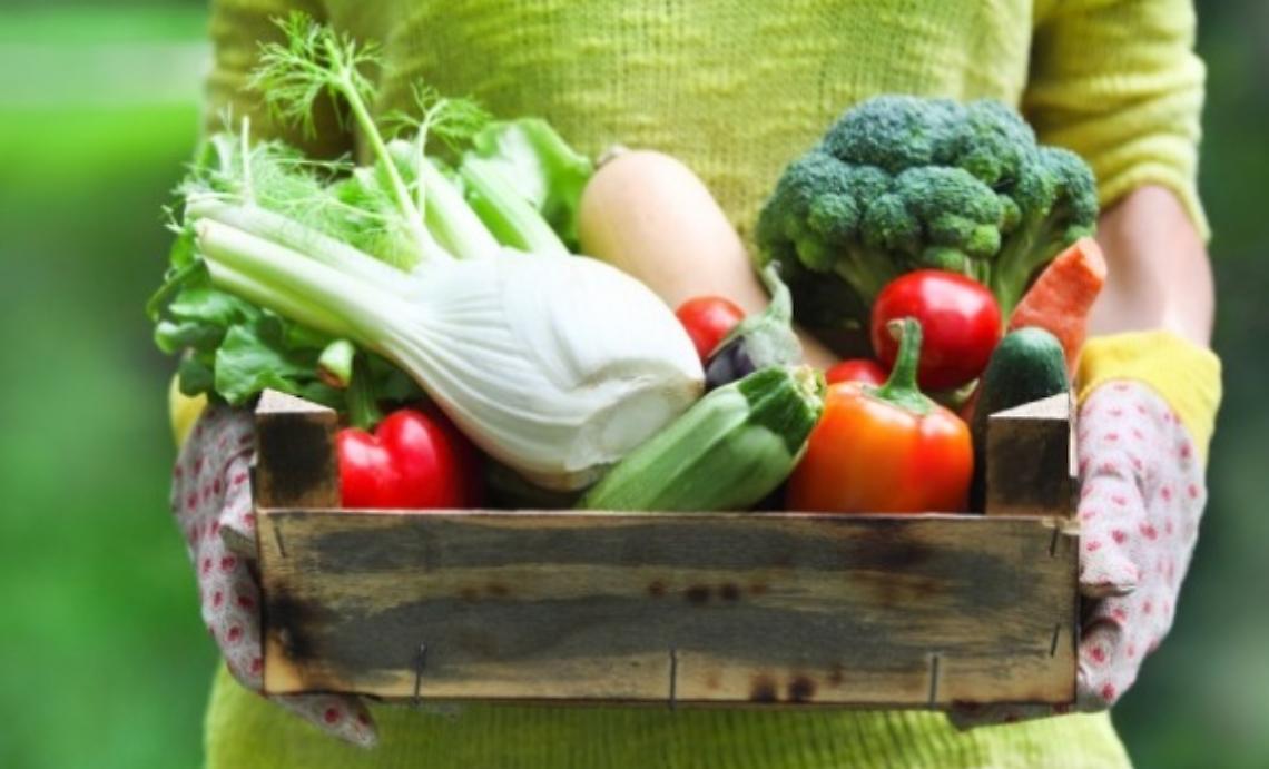 Nove tonnellate di verdura dagli orti alla Sacl&agrave;