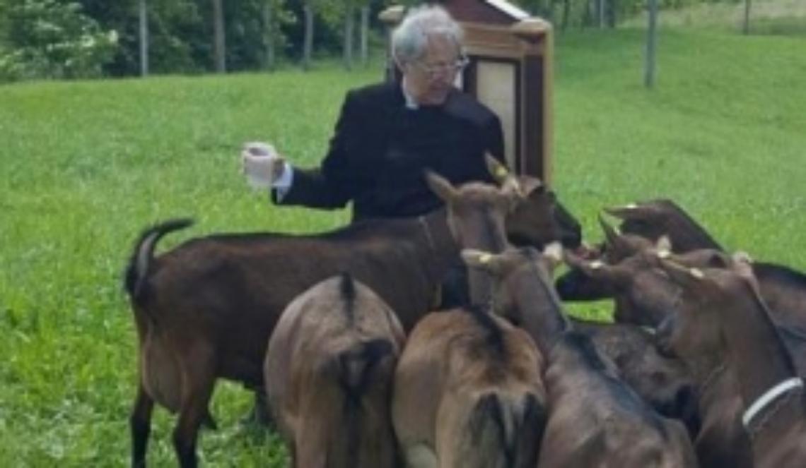 Un allevamento di Capriglio su Striscia la notizia