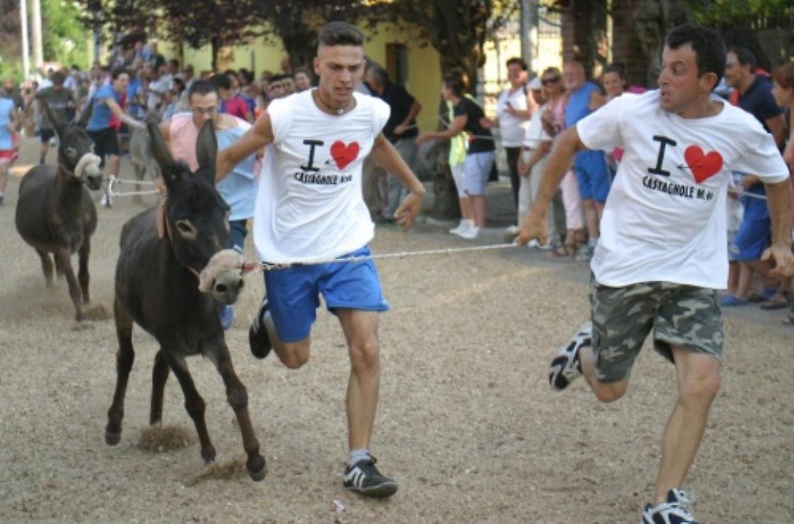 Si corre il Palio, quello degli asini